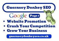 Guernsey Donkey SEO image 1
